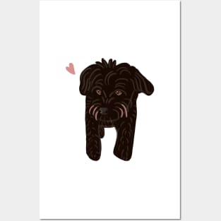 Black Poodle Mix Posters and Art